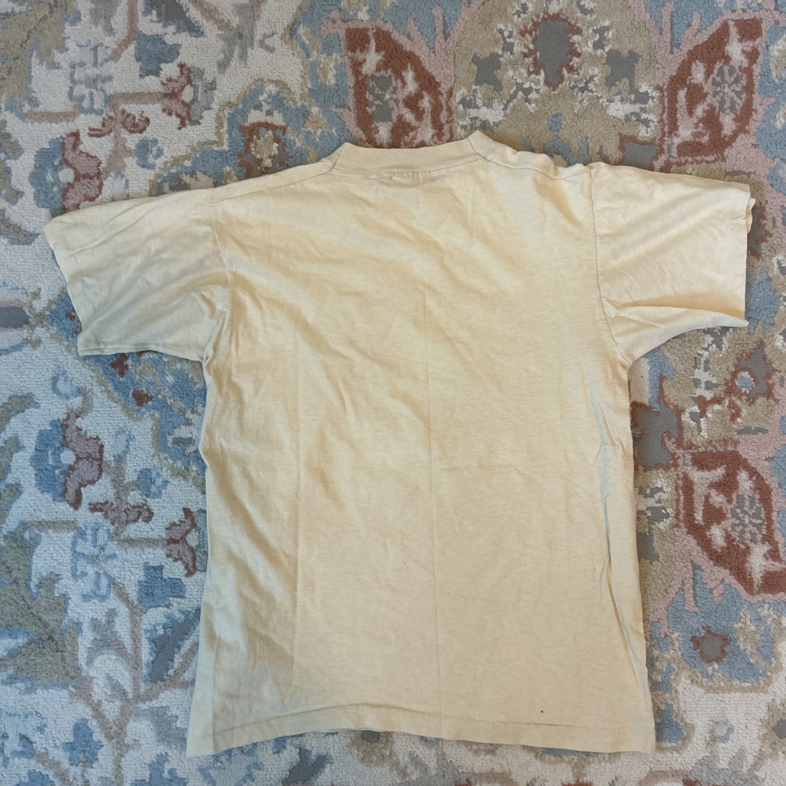 Authentic vintage and rare 70’s Jackson Browne Non-Nuclear Future shirt
