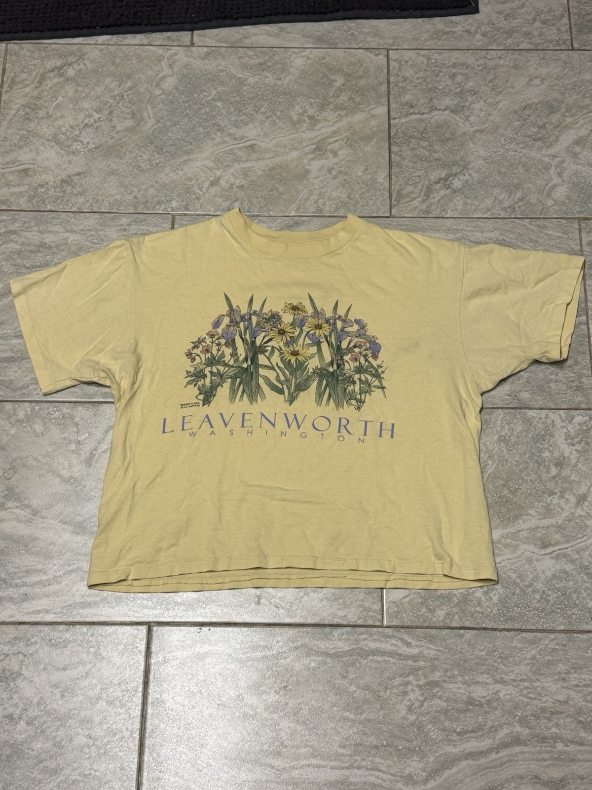 Vintage Y2K Leavenworth, WA Flowers Yellow Tshirt Sz Adult Large Anvil Red Boxy