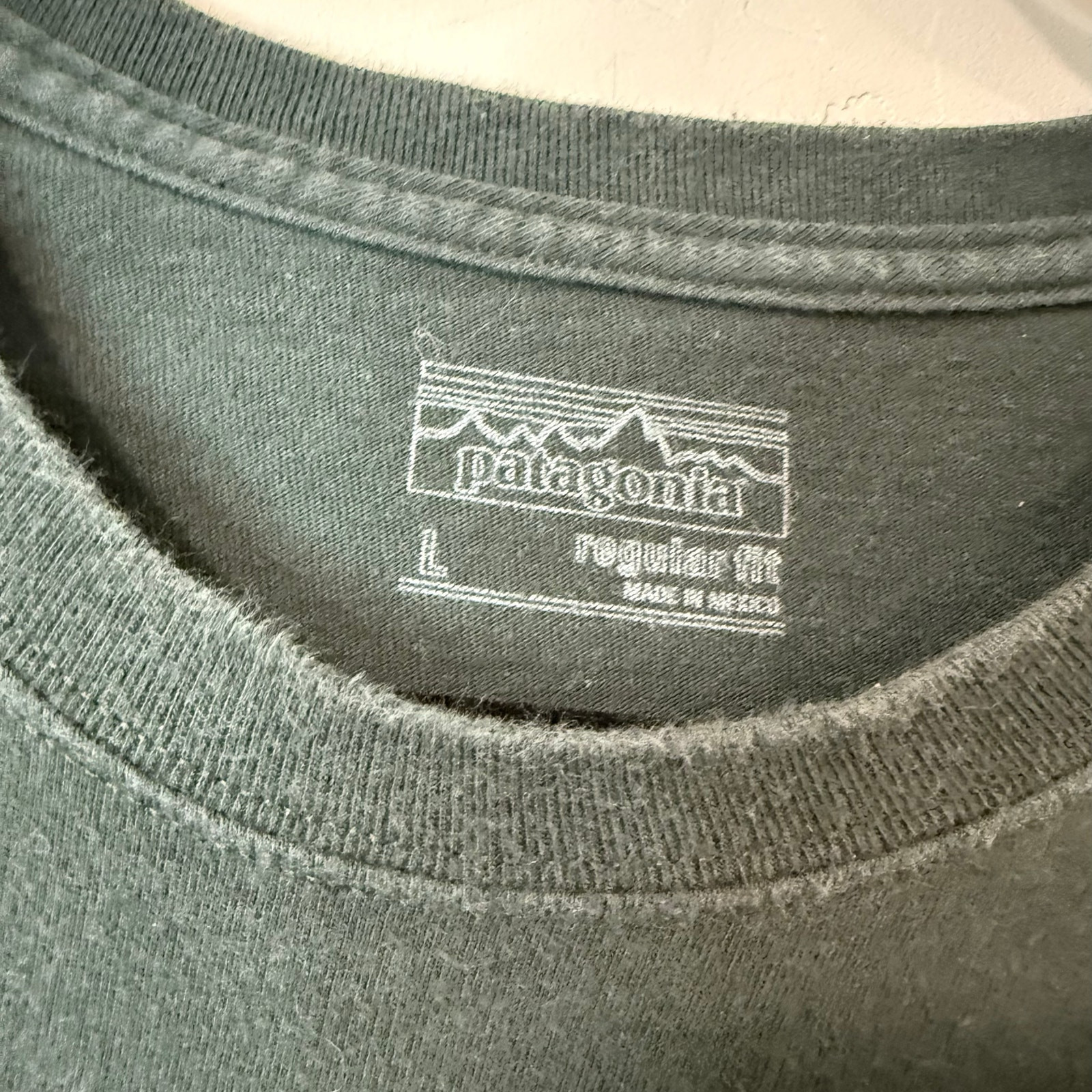 Patagonia Men’s Shop Sticker Long-Sleeve Tee Graphic Logo Dark Green Large