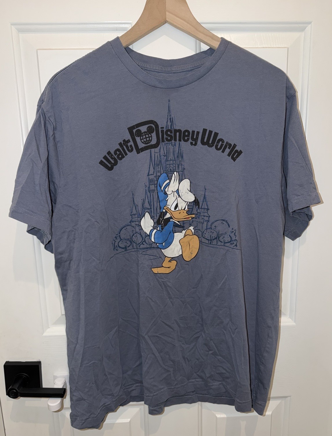 (No Tag) Disney World Castle Parks Donald Duck Tee T Shirt Size Large L Blue