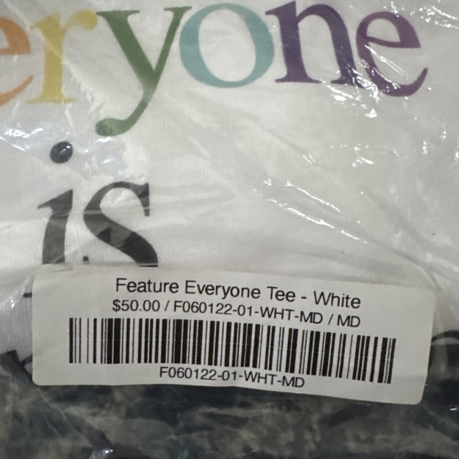 FEATURE Brand EVERYONE IS WELCOME HERE LOVE FEATURE PRIDE T SHIRT Mens M