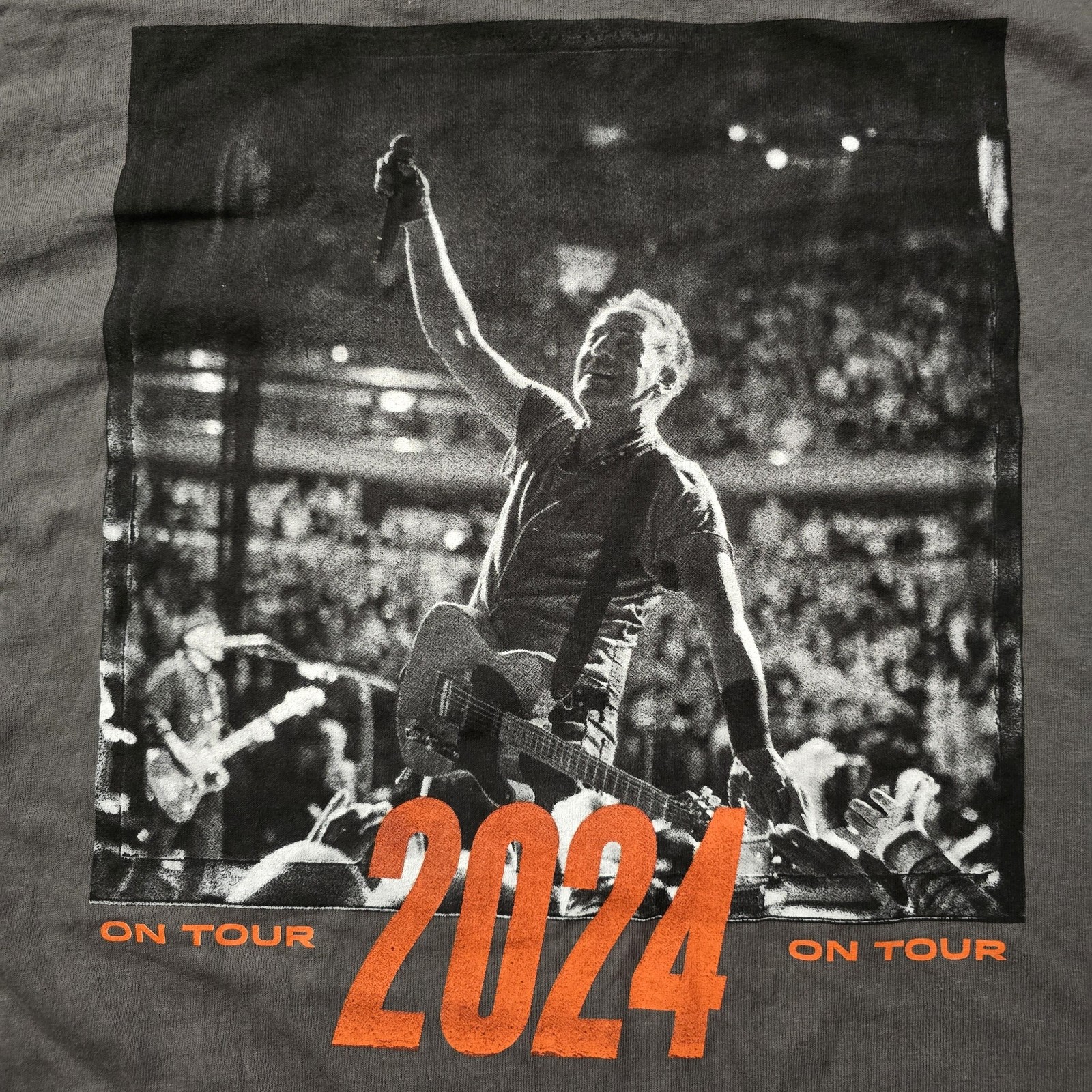 Springsteen E Street Band Shirt Mens Large Gray 2024 On Tour Concert Tee