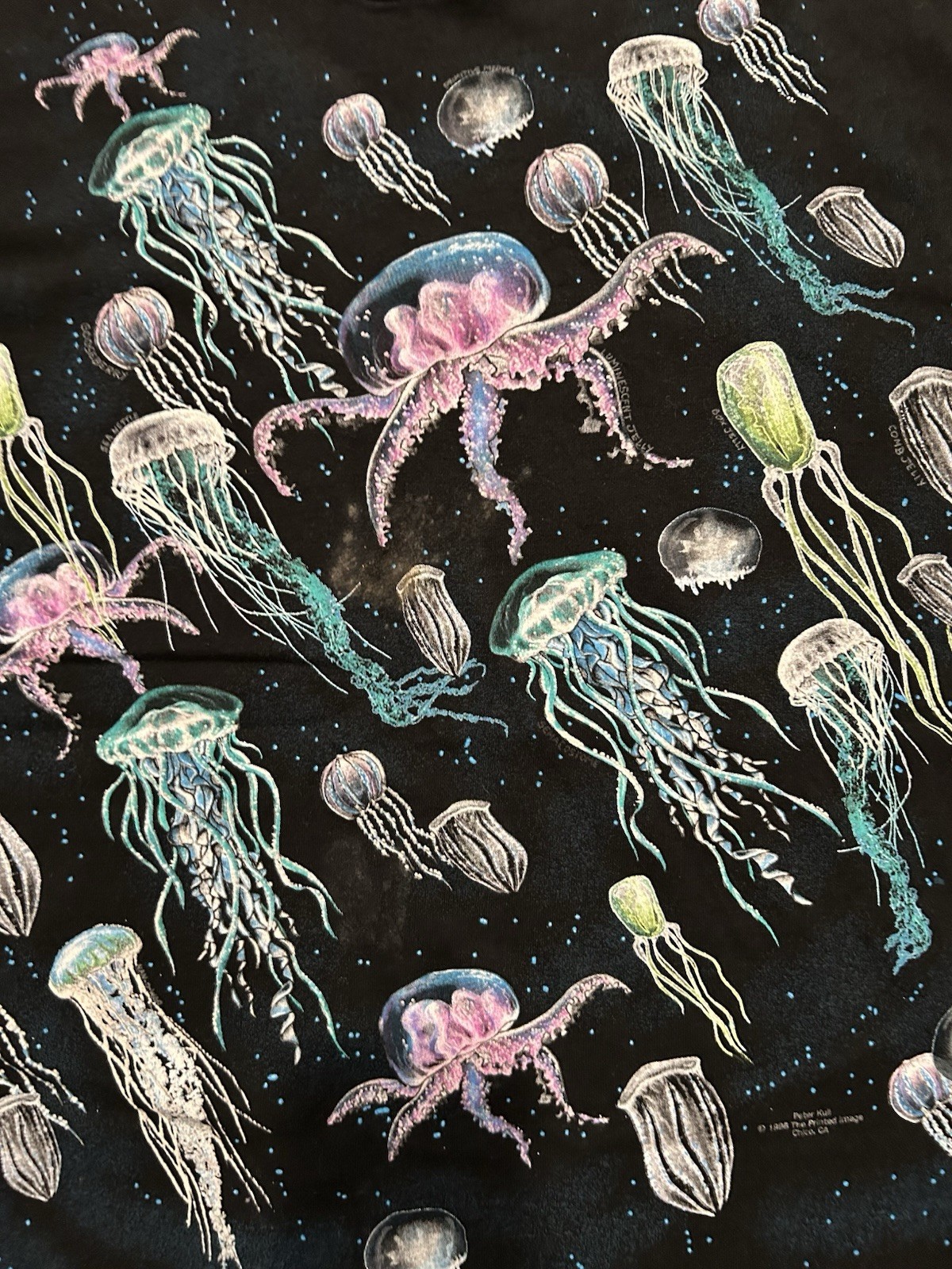 Vintage Jellyfish Species Swarm Shirt XL Fruit Of The Loom 1998