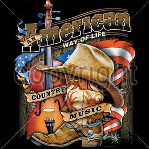 American Way of Life T Shirt You Choose Style, Size, Color Up to 4XL 10421