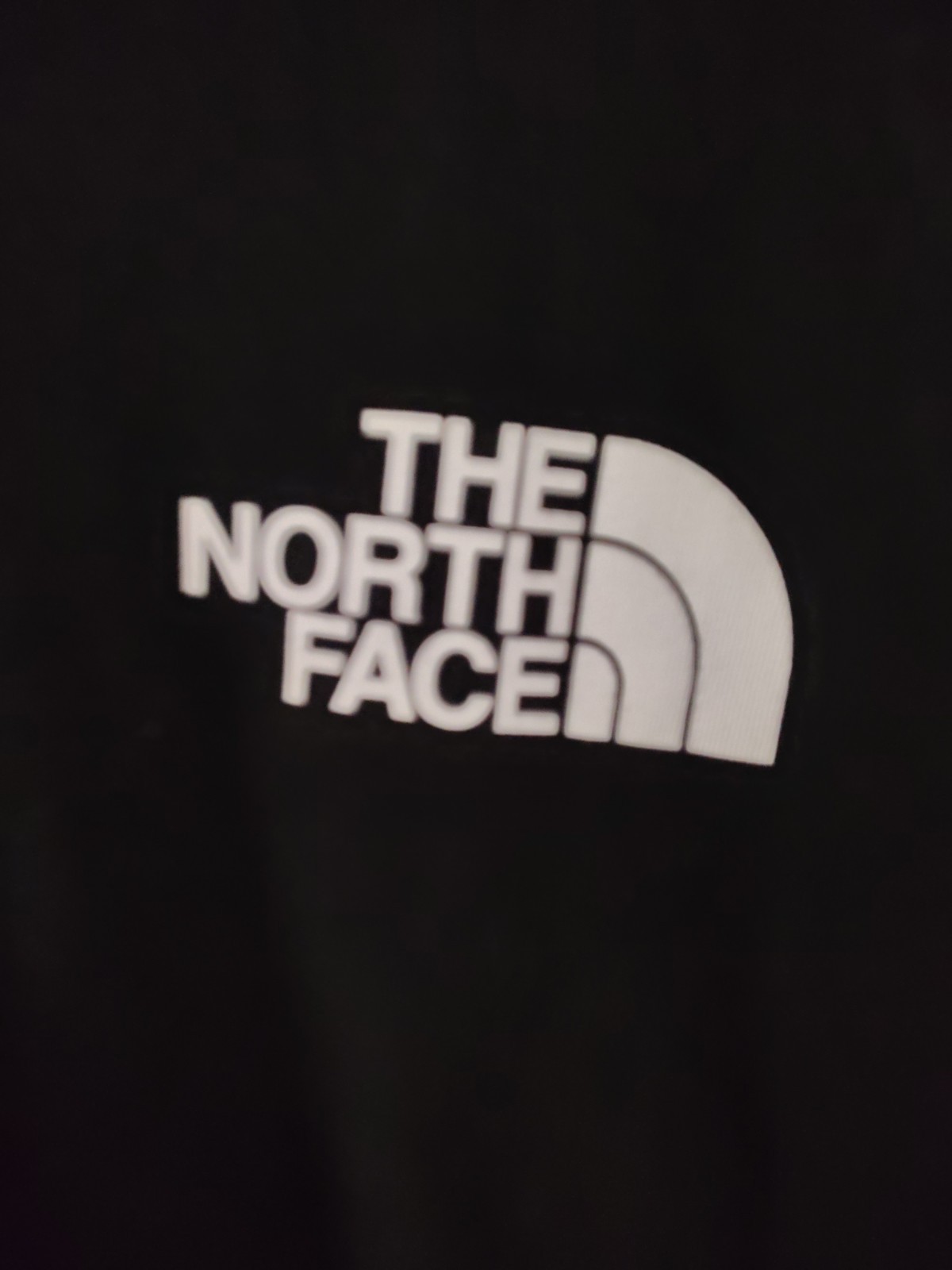 North Face T Shirt Tee Men’s Large Black Logo Short Sleeve