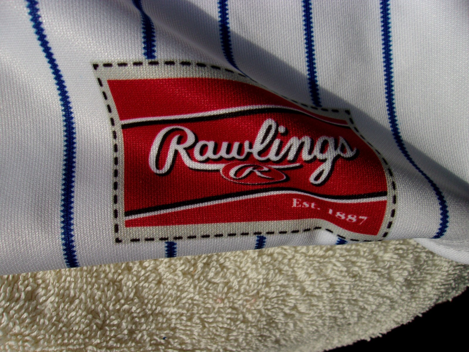 NWOT Rawlings loose fit baseball T, v neck, men’s L, white, blue, Chargers
