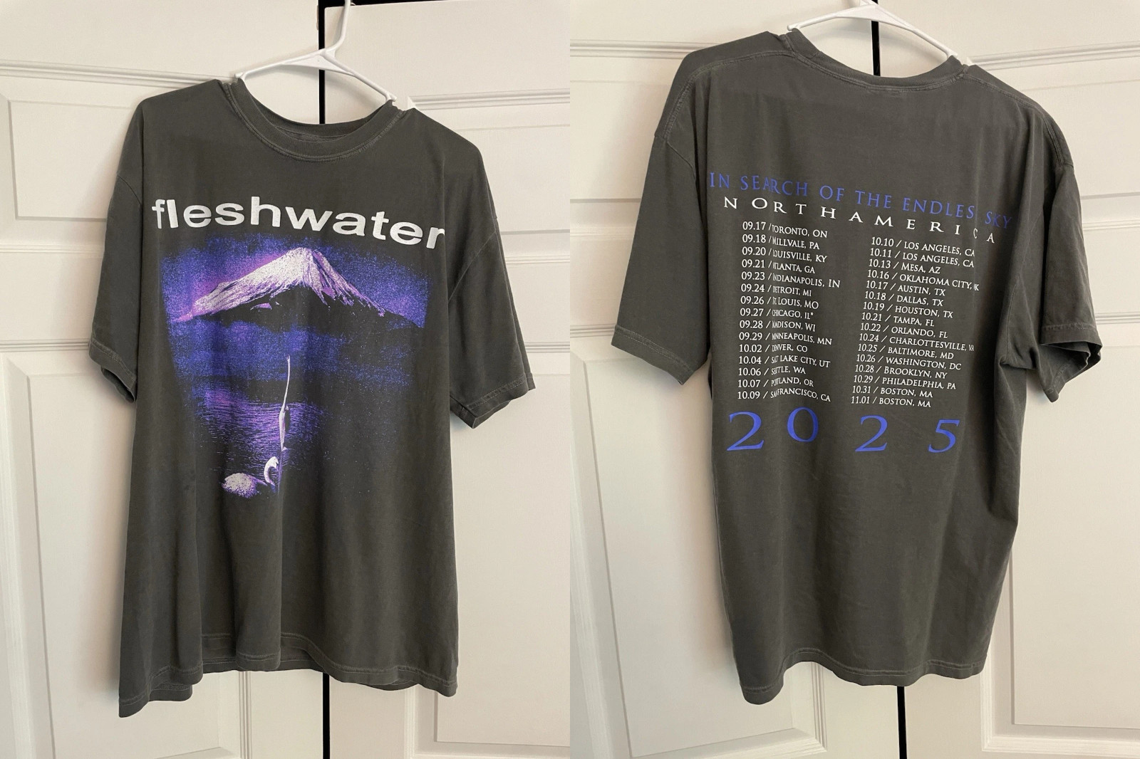 Fleshwater Band In Search Of The Endless Sky 2 Sided T Shirt Full Size S-5XL
