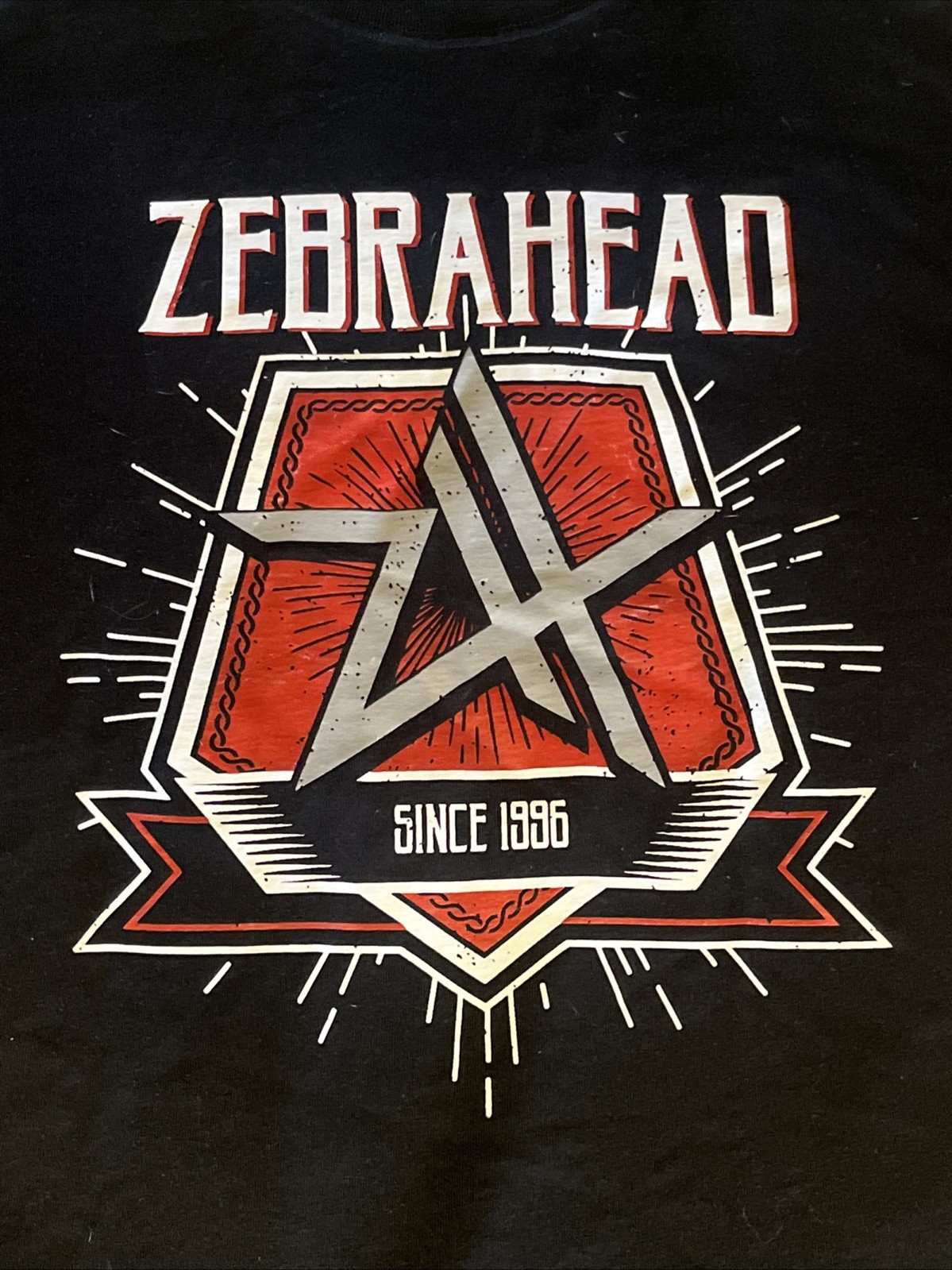 Zebrahead Tour Band Tshirt Mens XL