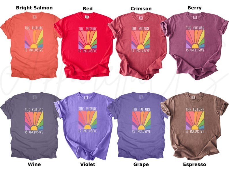 Comfort Colors The Future is Inclusive Shirt, Rainbow Shirt, Human Rights Shirt