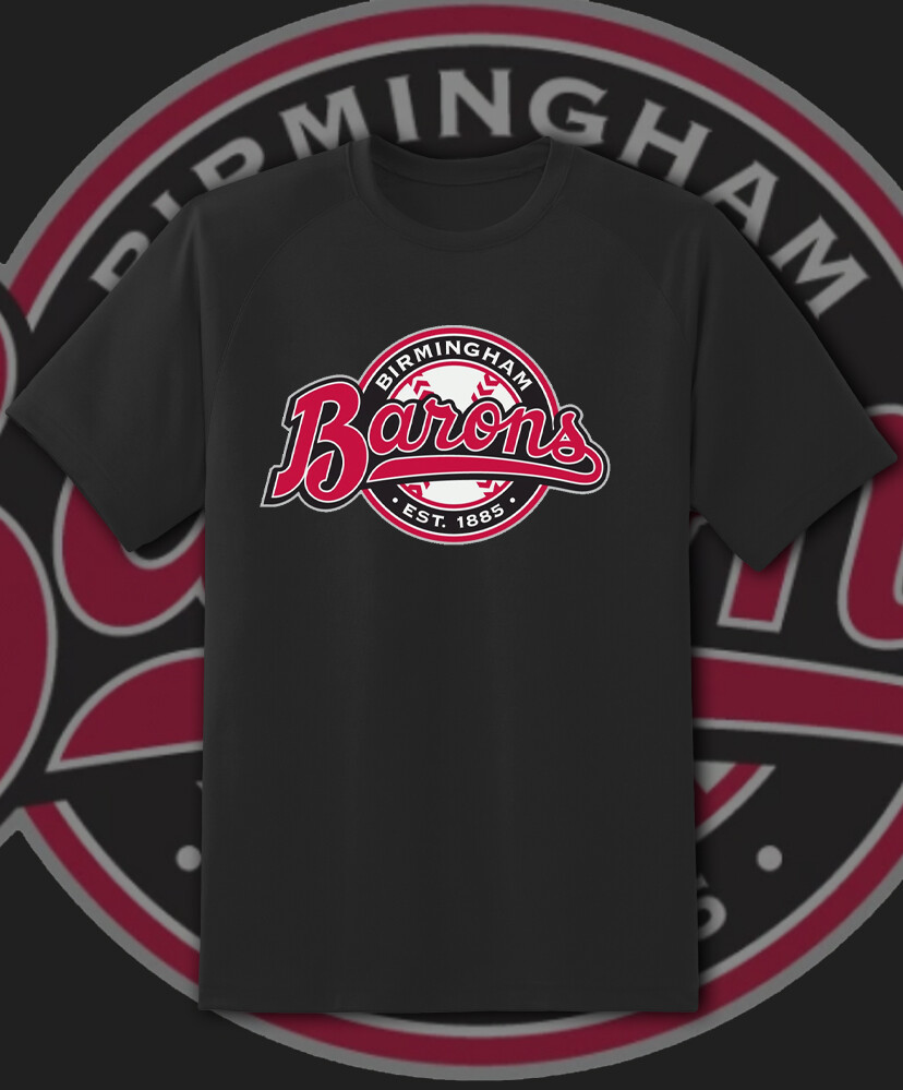 Birmingham Barons Milb Team Logo Milb T Shirt Youth M – Adult 6XL Fast Ship!