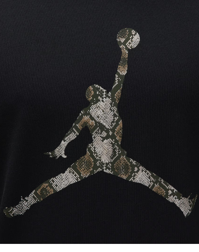 Nike Jordan Sport Mens Dri-Fit T-Shirt Black Multi Size Casual Sportswear Tee
