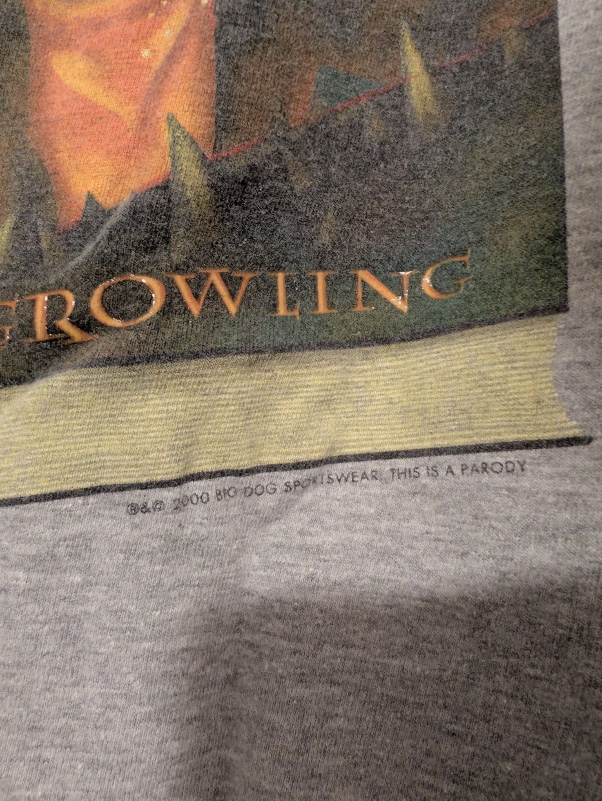Big Dogs Harry Potter Parody Graphic Print T-Shirt Gray S/M Crew Neck Vintage