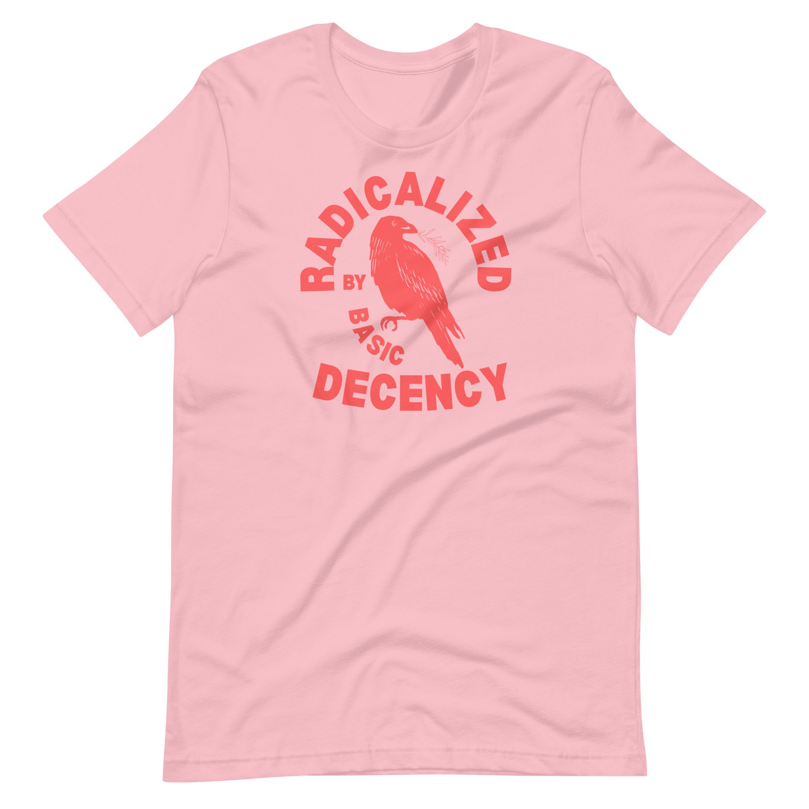 Radicalized by Basic Decency Unisex t-shirt Gift S,M,L,XL,2X,3X