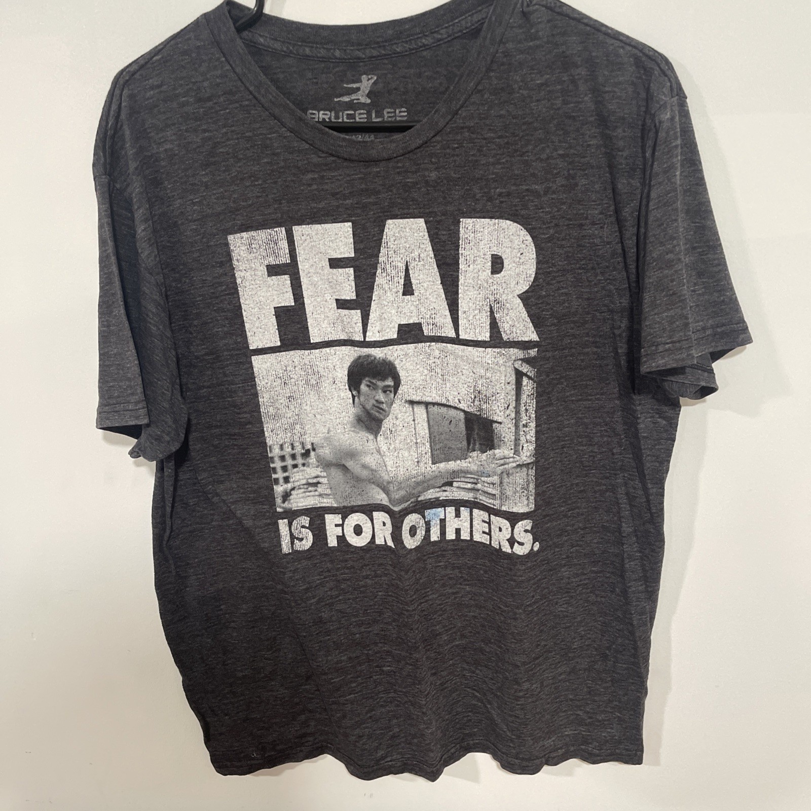 Bruce Lee Fear Is For Others Graphic T-Shirt Mens XL Gray Short Sleeve