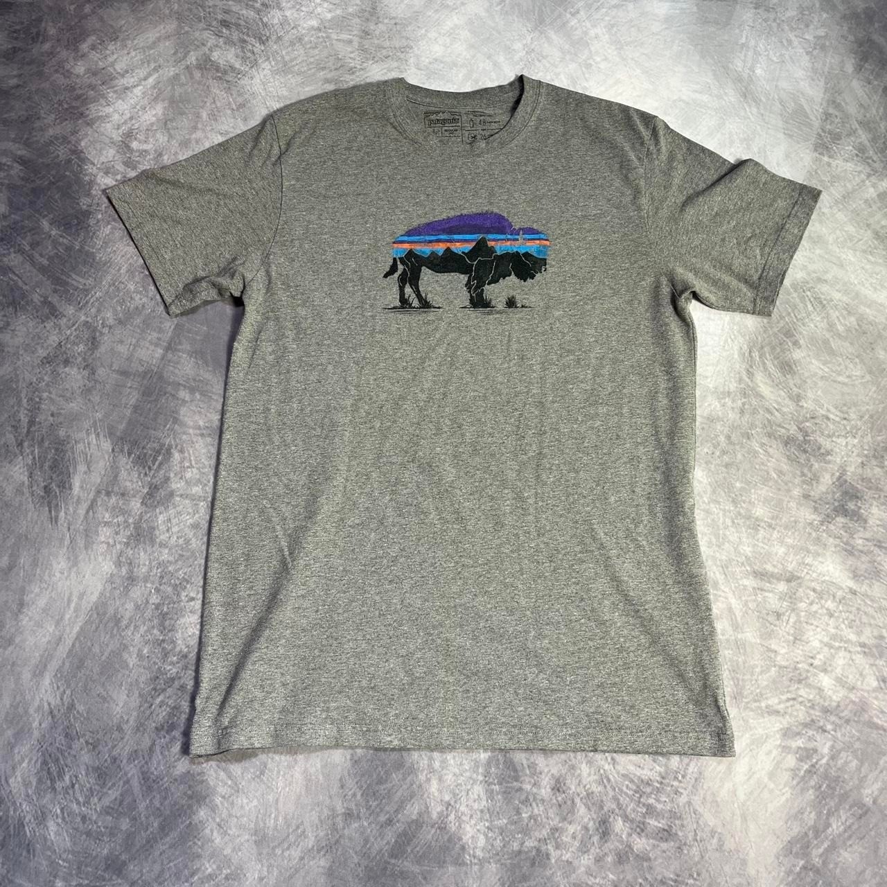 Patagonia grey graphic tee