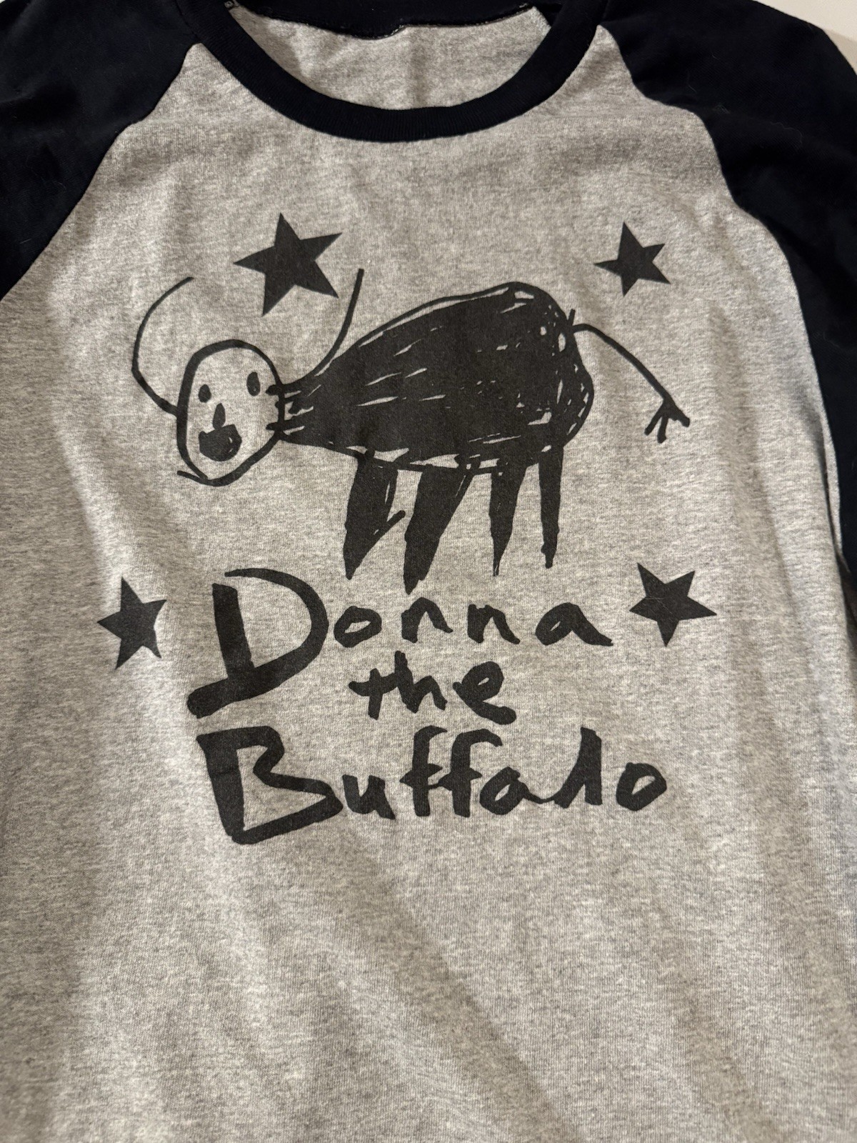 Rare Donna The Buffalo – Vintage Concert T-Shirt No Tag Baseball Style Black
