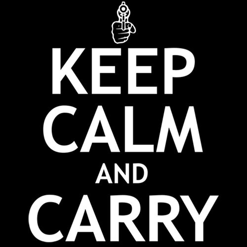 Keep Calm And Carry Sarcastic Novelty Funny T-Shirts