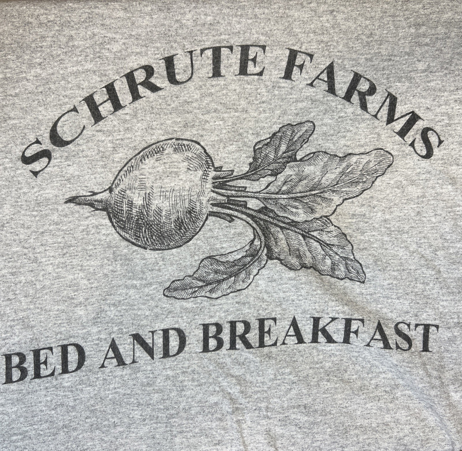Schrute Farms Beets Bed and Breakfast Tee Men XL Gray The Office Dwight Schrute
