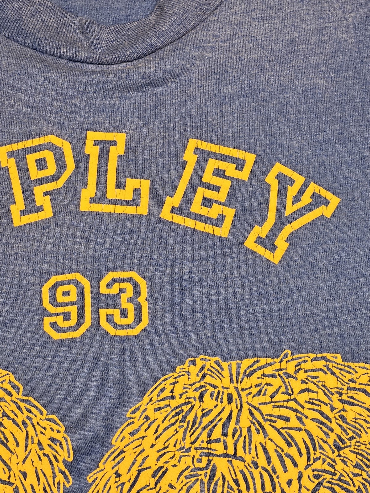 Vintage 1993 Copley Ohio Cheerleading Pom Poms T Shirt XL FOTL Best Distressed