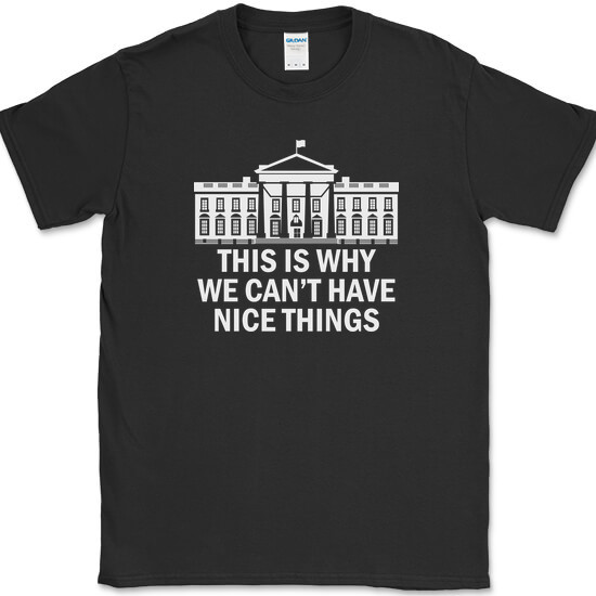 Why We Can’t Have Nice Things T-Shirt Funny Anti Government Political Tee