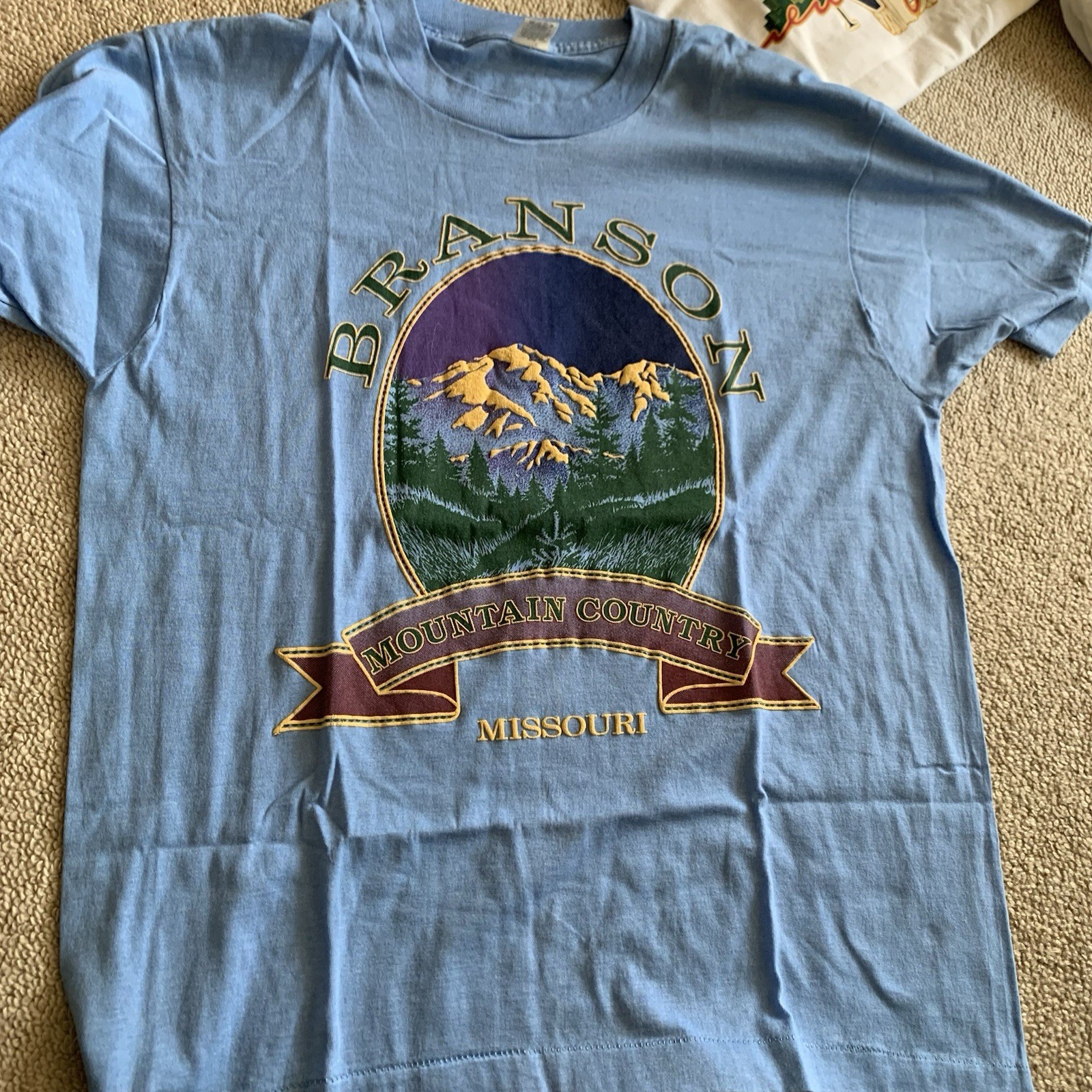 Lot of 12 Vintage T Shirts Travel 80s-Y2K. Soho NYC, WTC, India, Austin, Branson