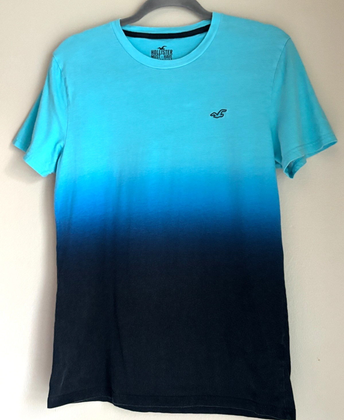 Hollister Must-Have Collection Ombre Tee Shirt Adult Medium Embroidered Logo