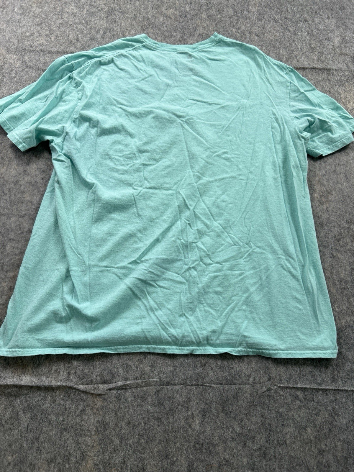 Disney Belle And Aladdin Magic Carpet Genie Teal Green T Shirt Jasmine Abu 2XL