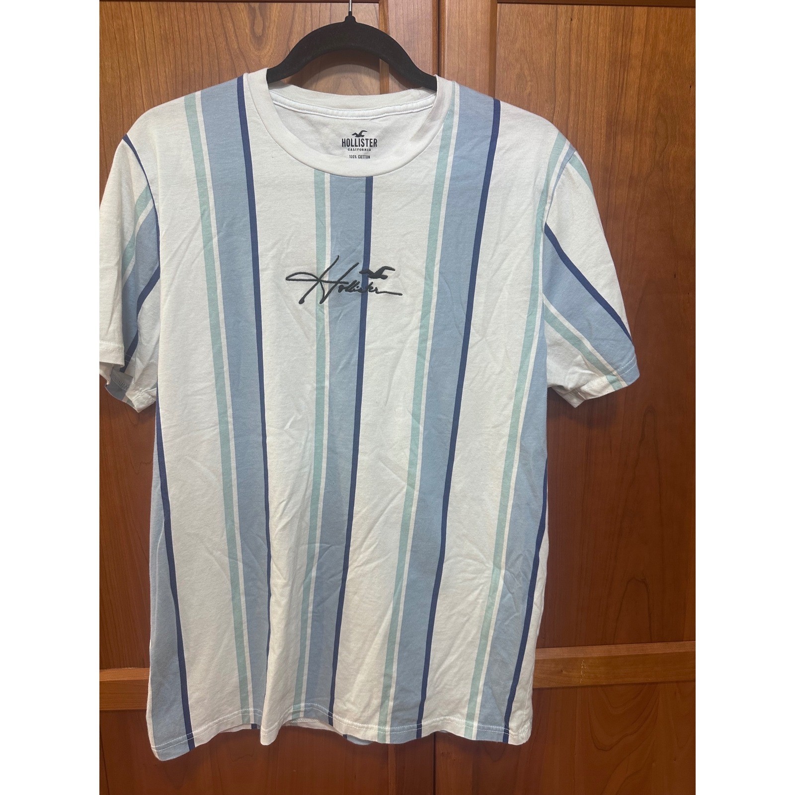 Hollister Mens Blue White Vertical Stripe Embroidered Logo Cotton T-Shirt L