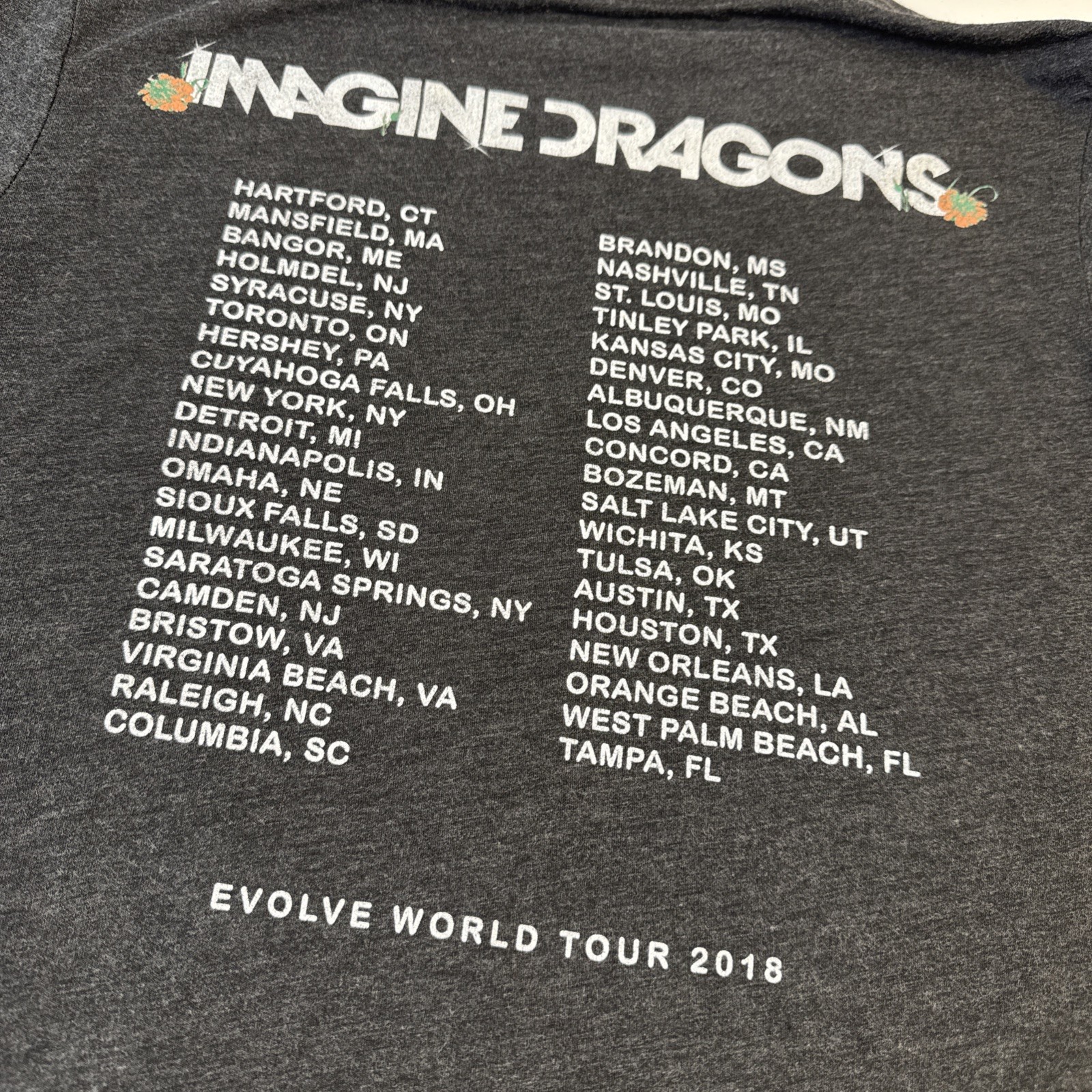 Imagine Dragons Evolve Tour Mens Medium T-Shirt Dark Gray 2018 Concert