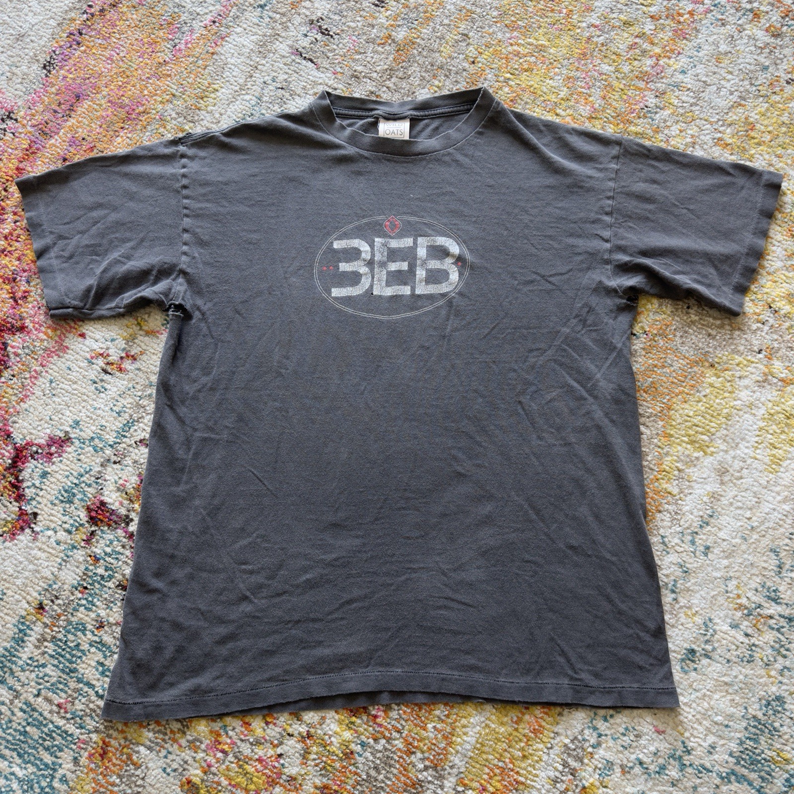 Vintage 90s Faded Distressed Third Eye Blind 3EB Band T-Shirt Wild Oats XL