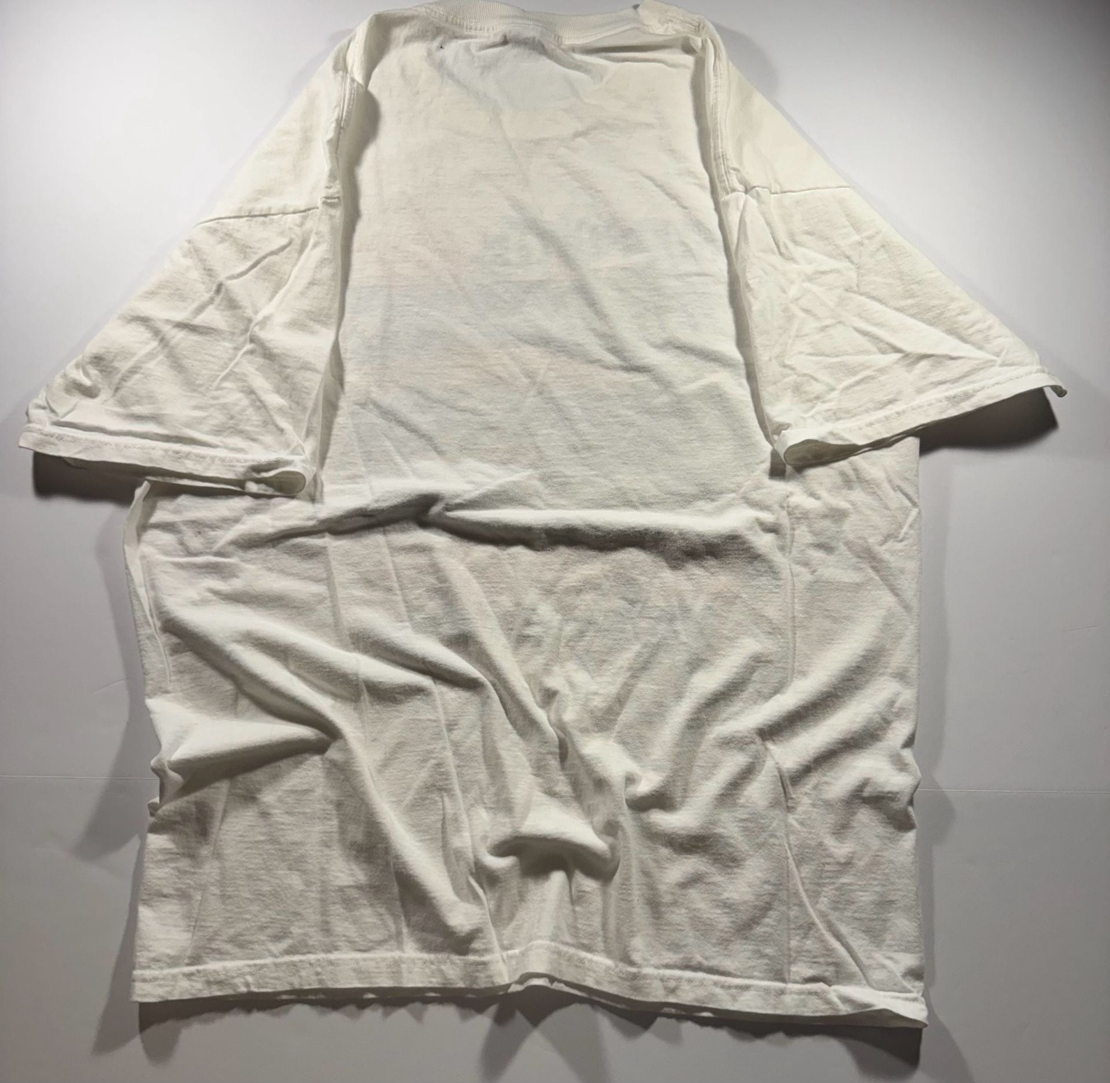 Jerzees Vintage Support the Art of Saving Lives in the Florida Keys Graphic Tee