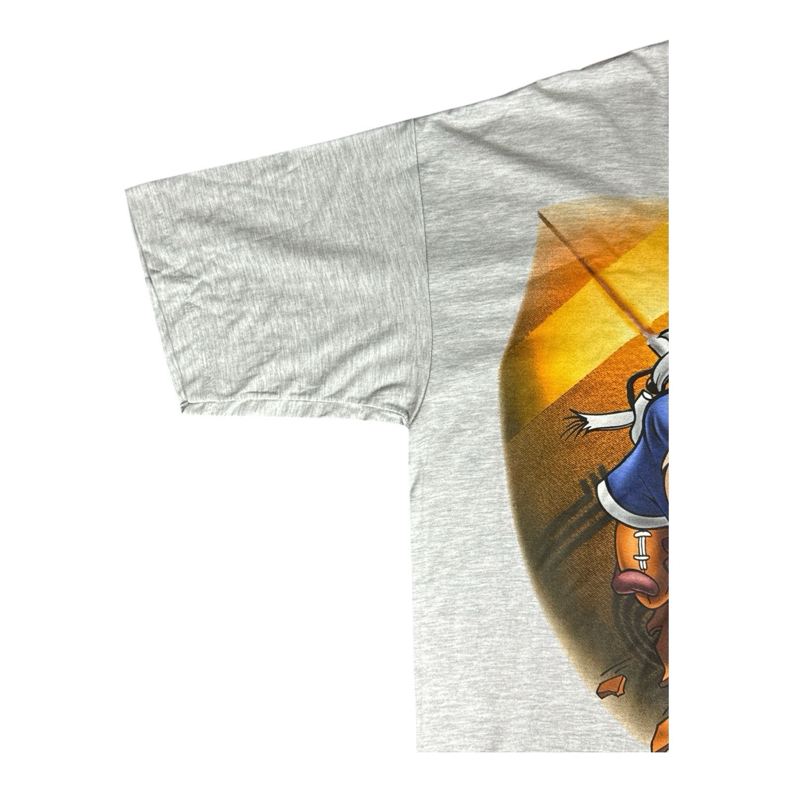 Looney Tunes Taz Tasmanian Devil Burst Football T-Shirt Men XL NWT Vintage 1997