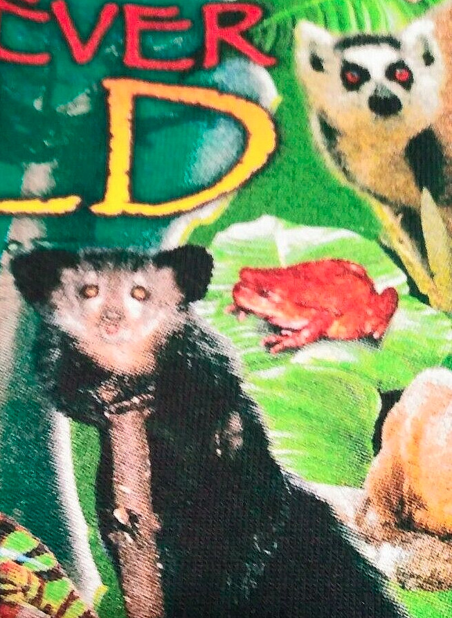 Madagascar Rainforest Forever Wild Forever Free Green T-Shirt Men’s Large