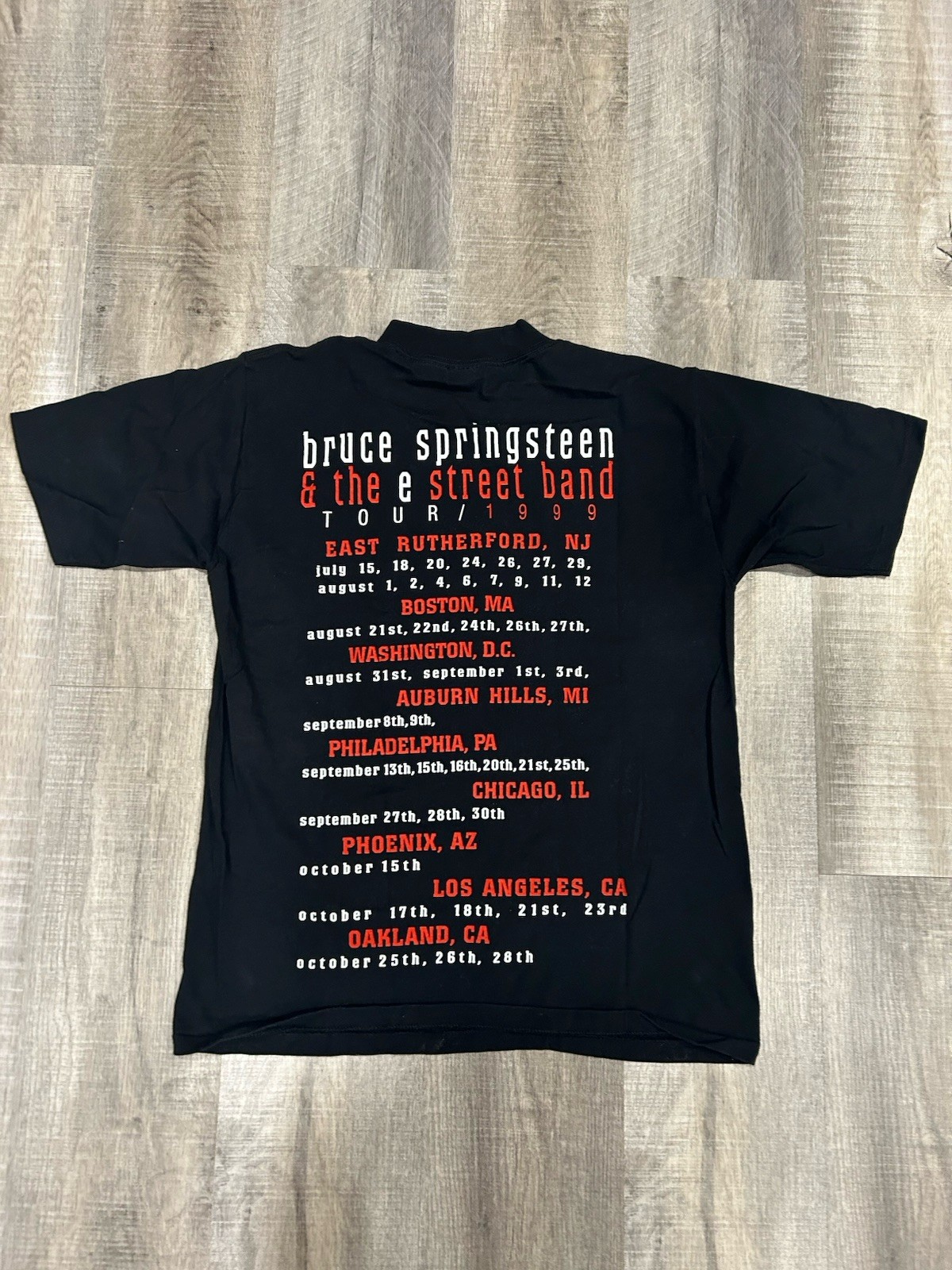 Vintage 1999 Bruce Springsteen & E Street Band Tour T Shirt Size L Single Stitch
