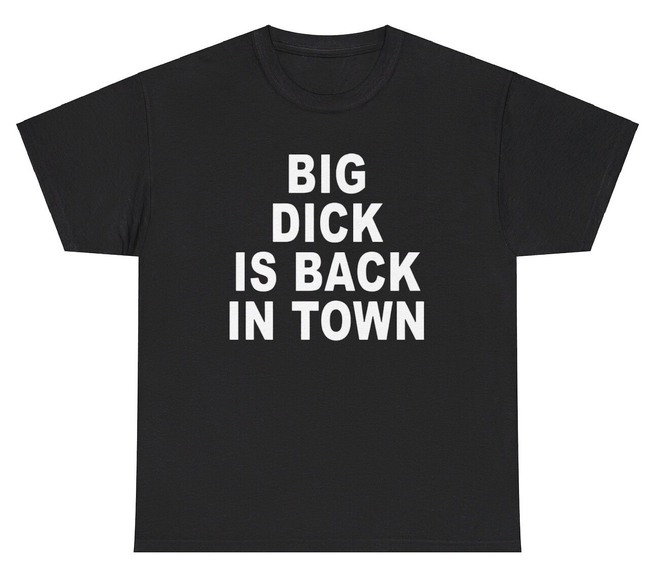 Big Dick Is Back In Town T Shirt Funny Inappropriate Adult Humor Offensive Tee