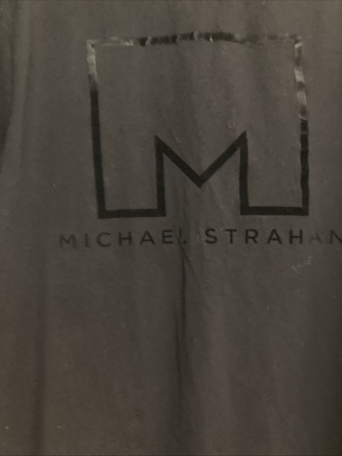 Lot Of 3 Champion MStrahan Mossimo Mens T Shirt Short Sleeves Black Blue Gray M