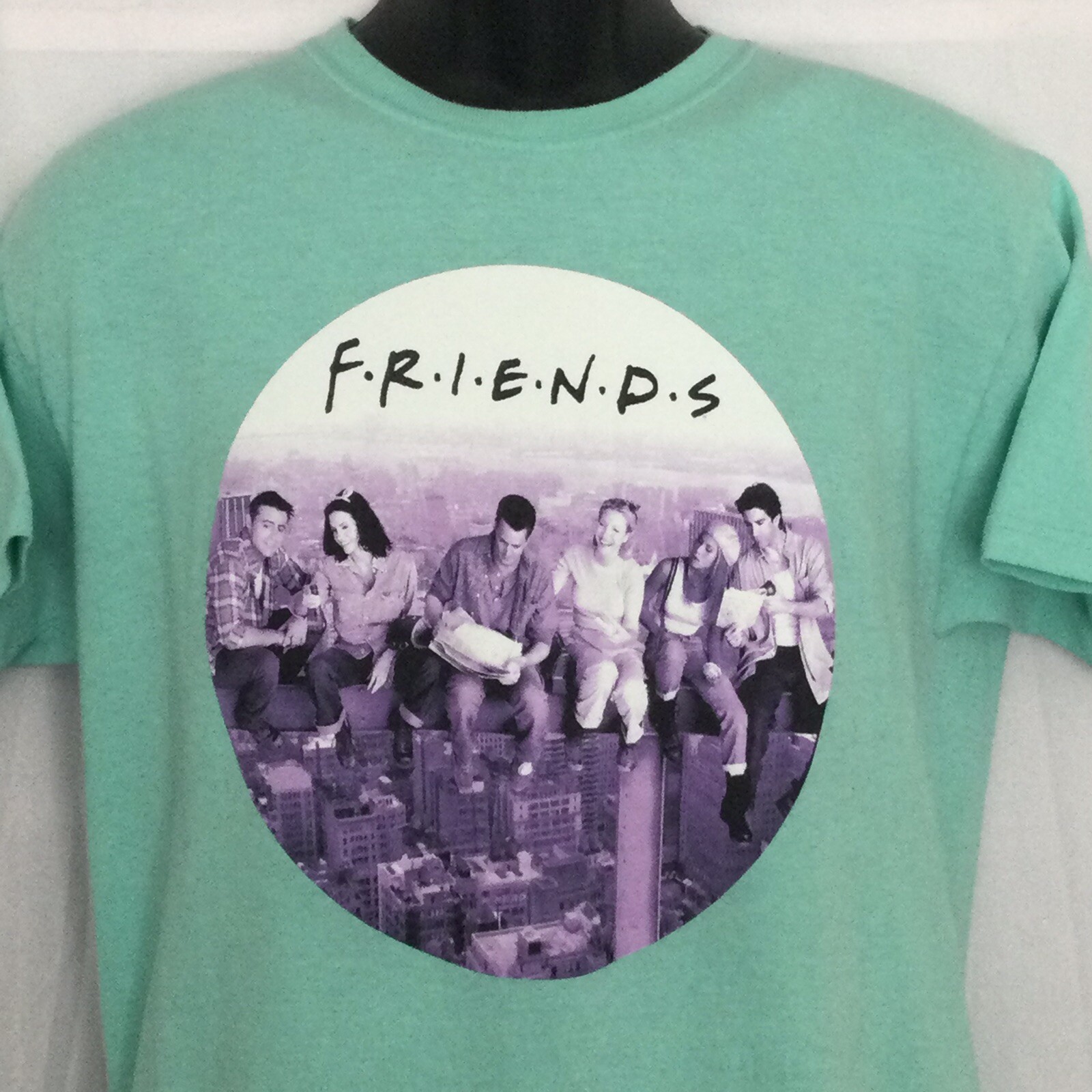 Friends TV Show Mens Graphic Tshirt Medium Green and Purple