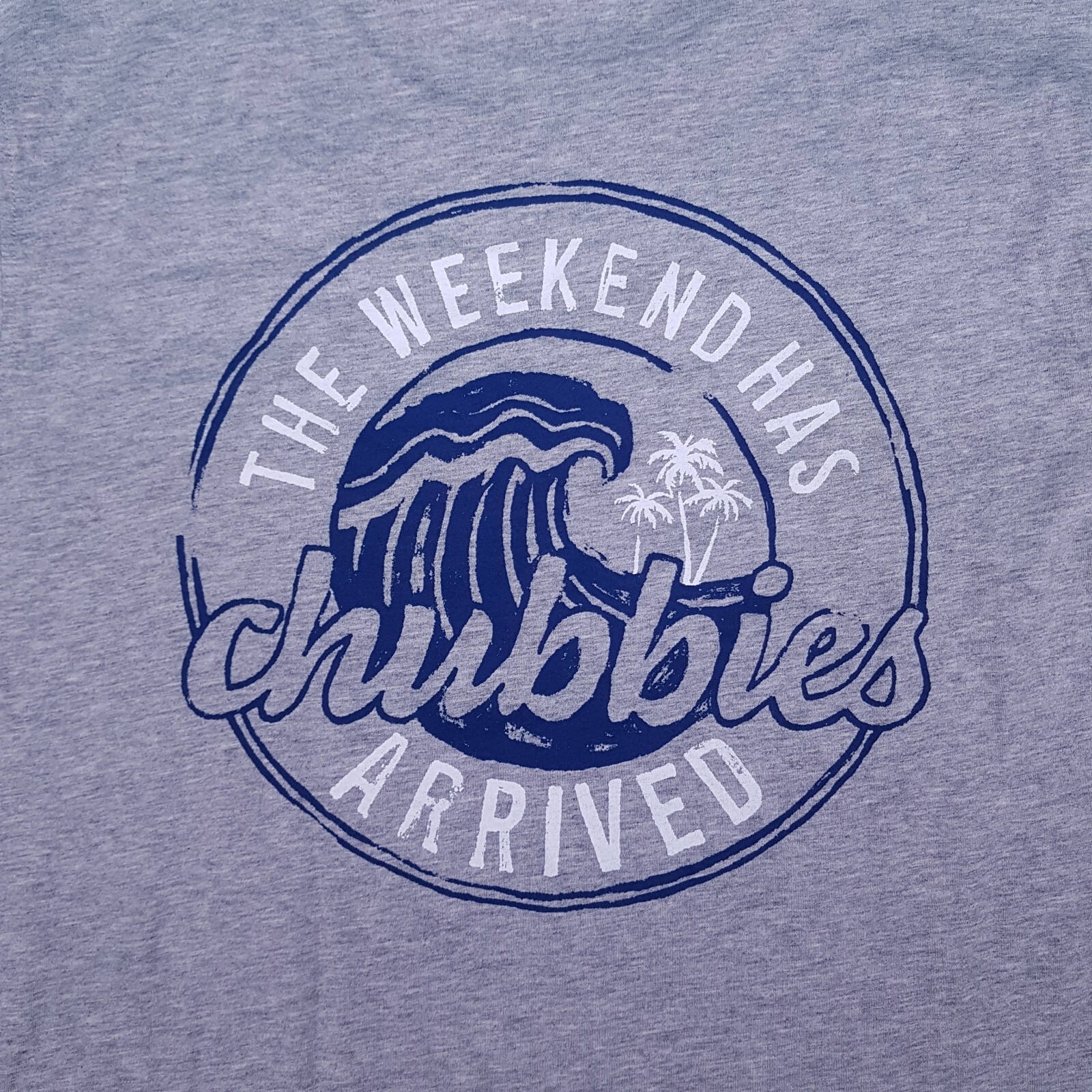 CHUBBIES The Weekend Has Arrived The Necessitee T Shirt Mens Size MEDIUM Grey