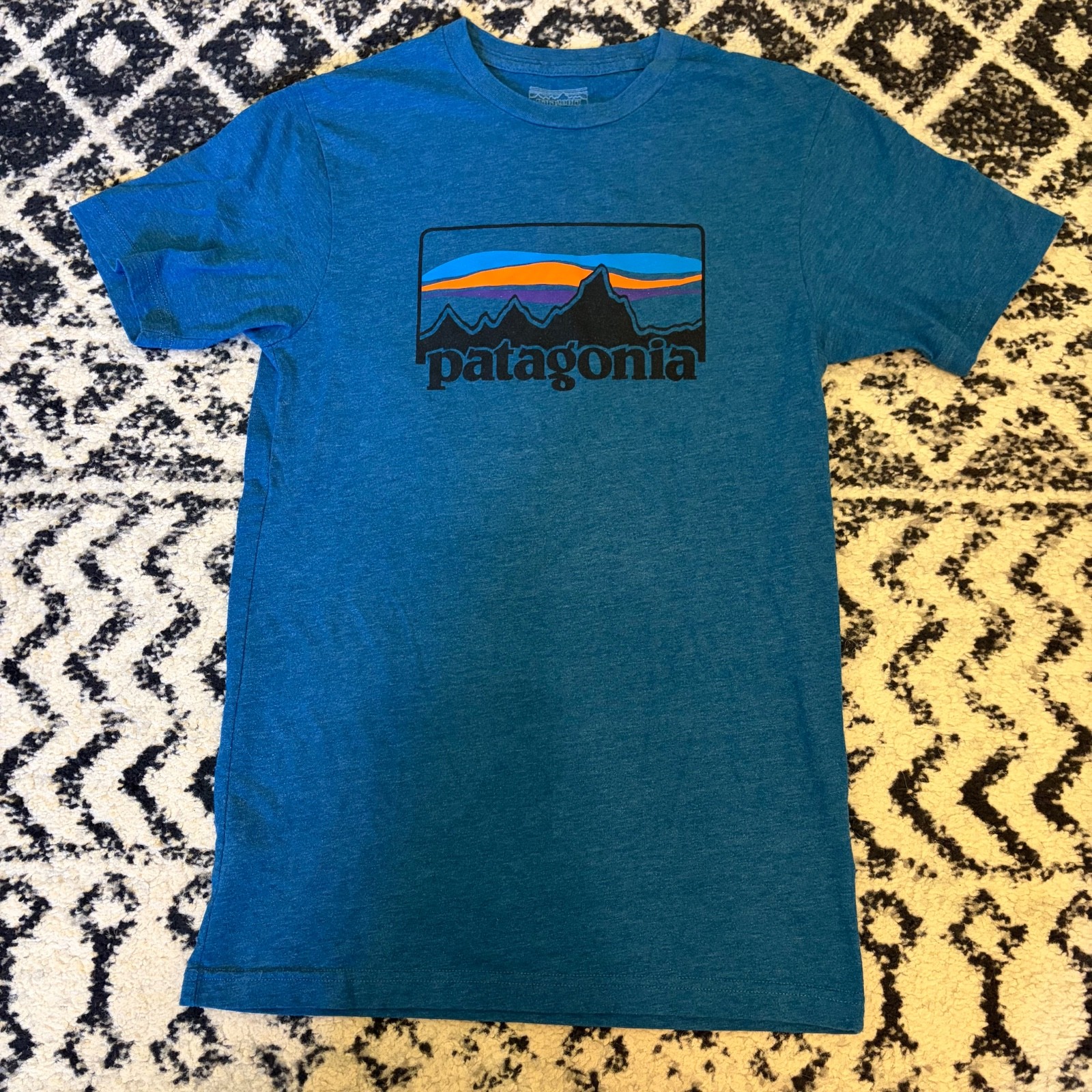 Patagonia Classic Graphic T-Shirt Blue Men’s Size XS Small Slim Fit Tee Gorpcore