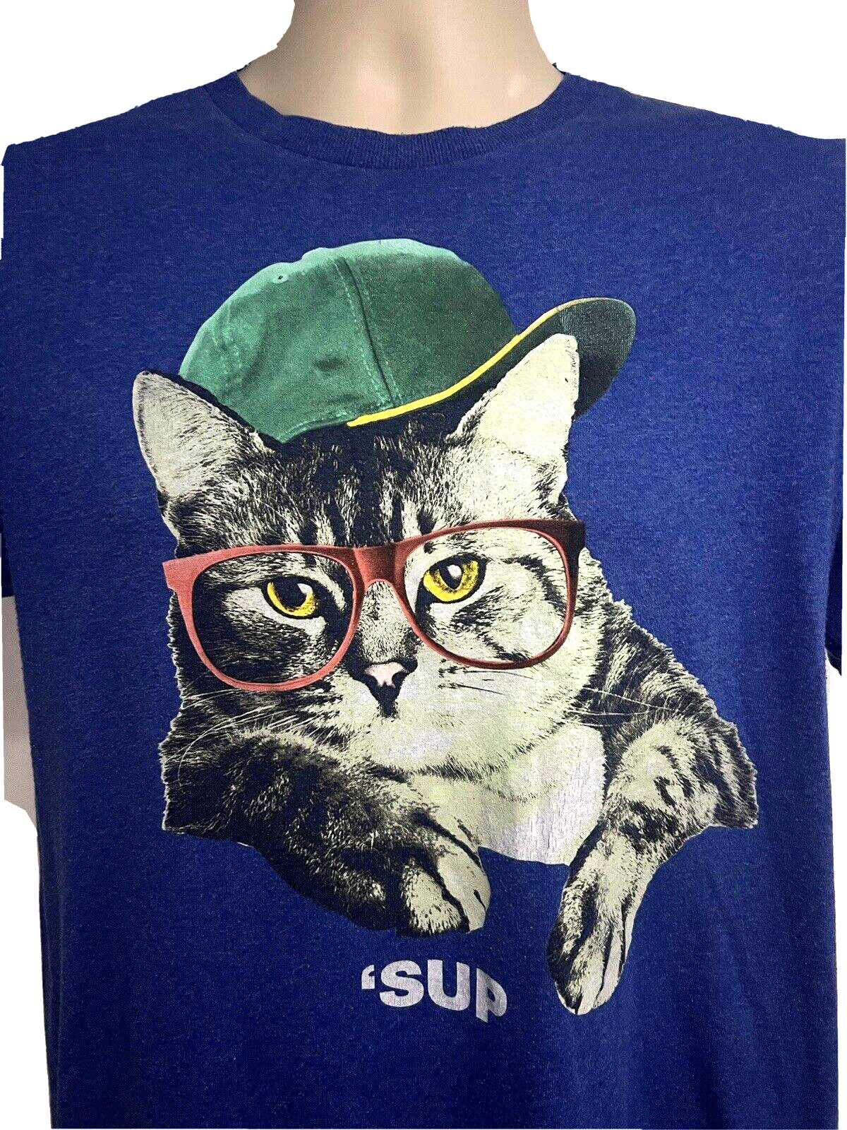 Hip Hop Streetwear Blue Graphic Novelty Cat T-Shirt Small Funny Animal Print