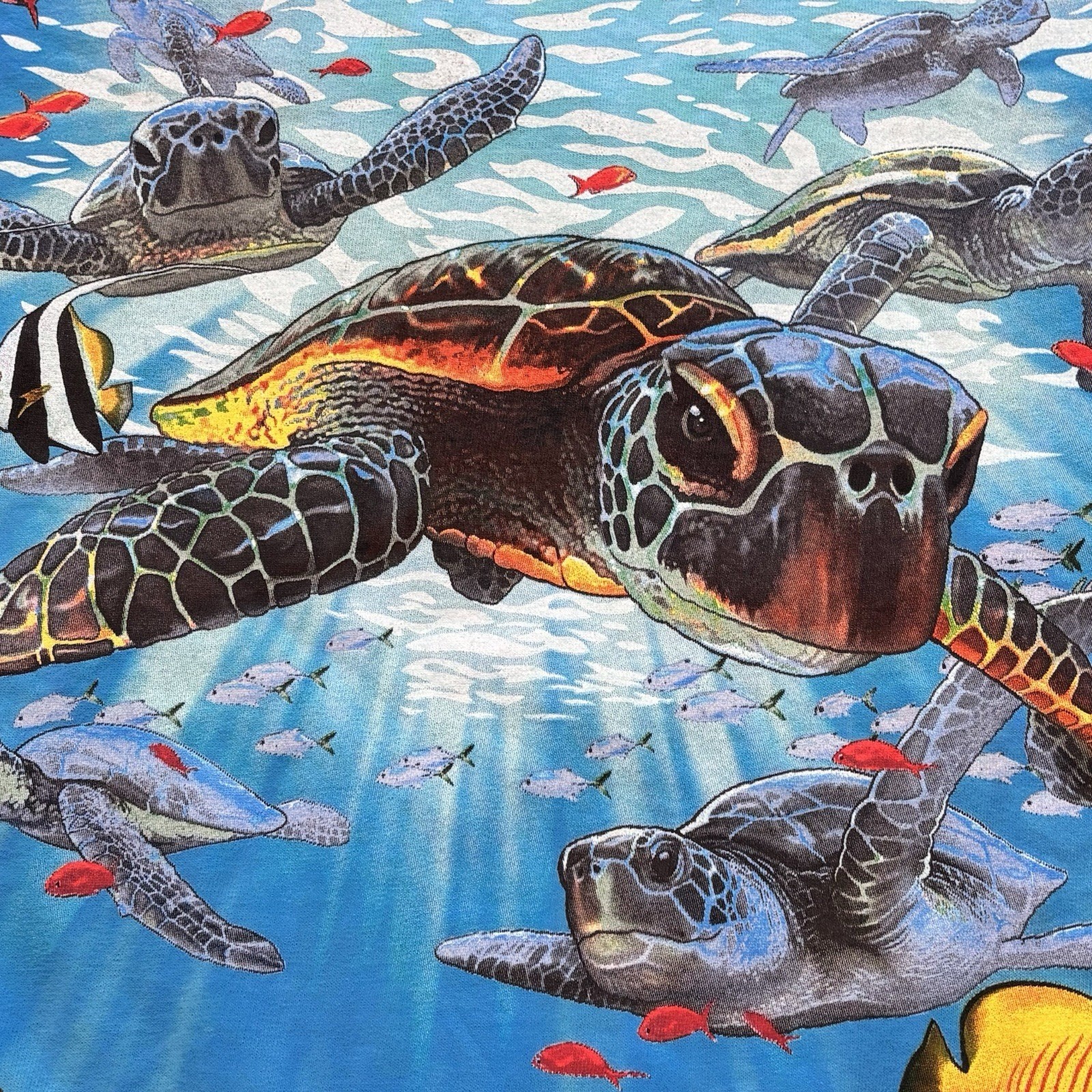 Liquid Blue Sea Turtles Aquatic Nature Blue Cotton Graphic Tee Men’s Size Large