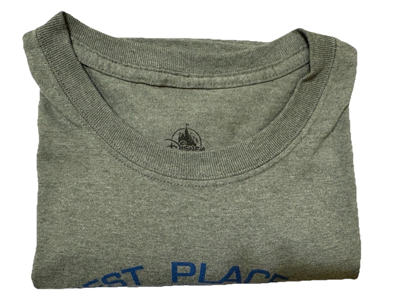 Disney T-shirt Large Disneyland Resort Graphic Happiest Place On Earth Sage Grn