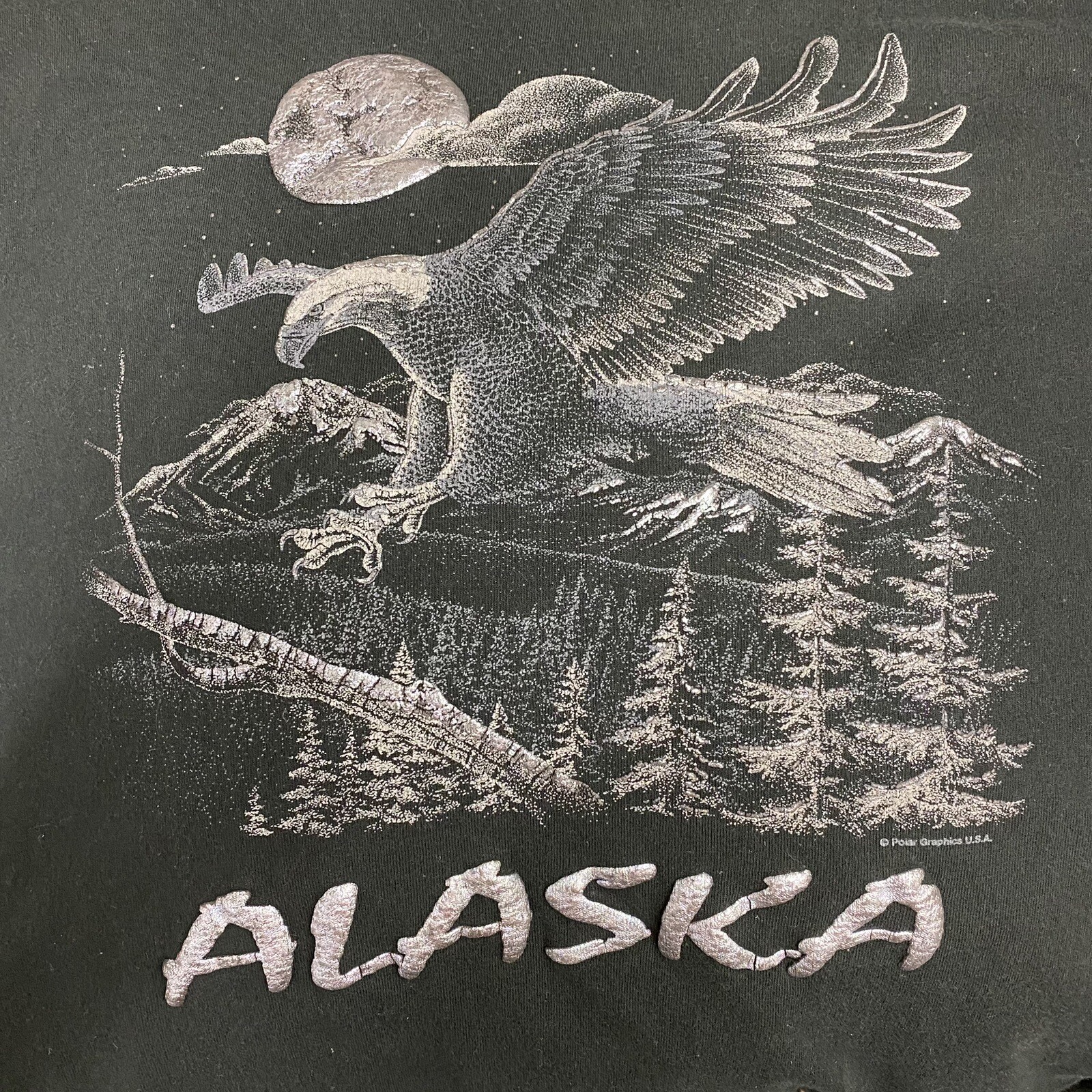 Vintage Alaska Eagle Wilderness Graphic Tee On Anvil Label Single Stitch Sz 2X