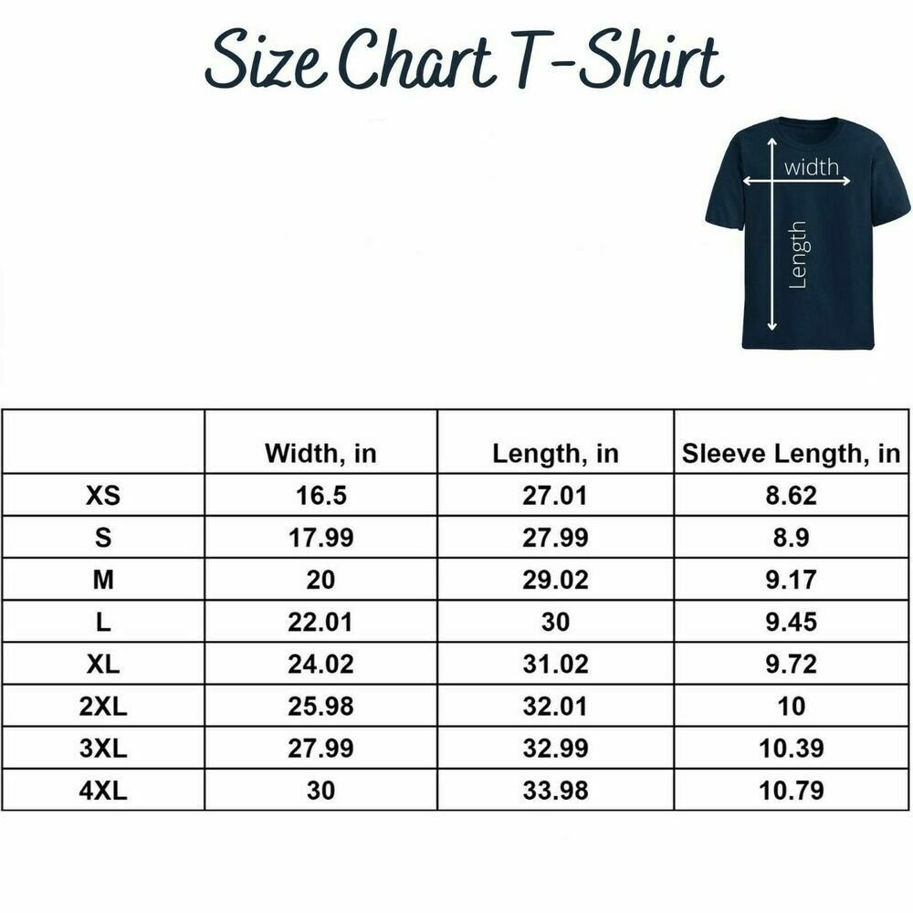 Israel Flag Lion Jewish Star David I Stand With Israel T-Shirt
