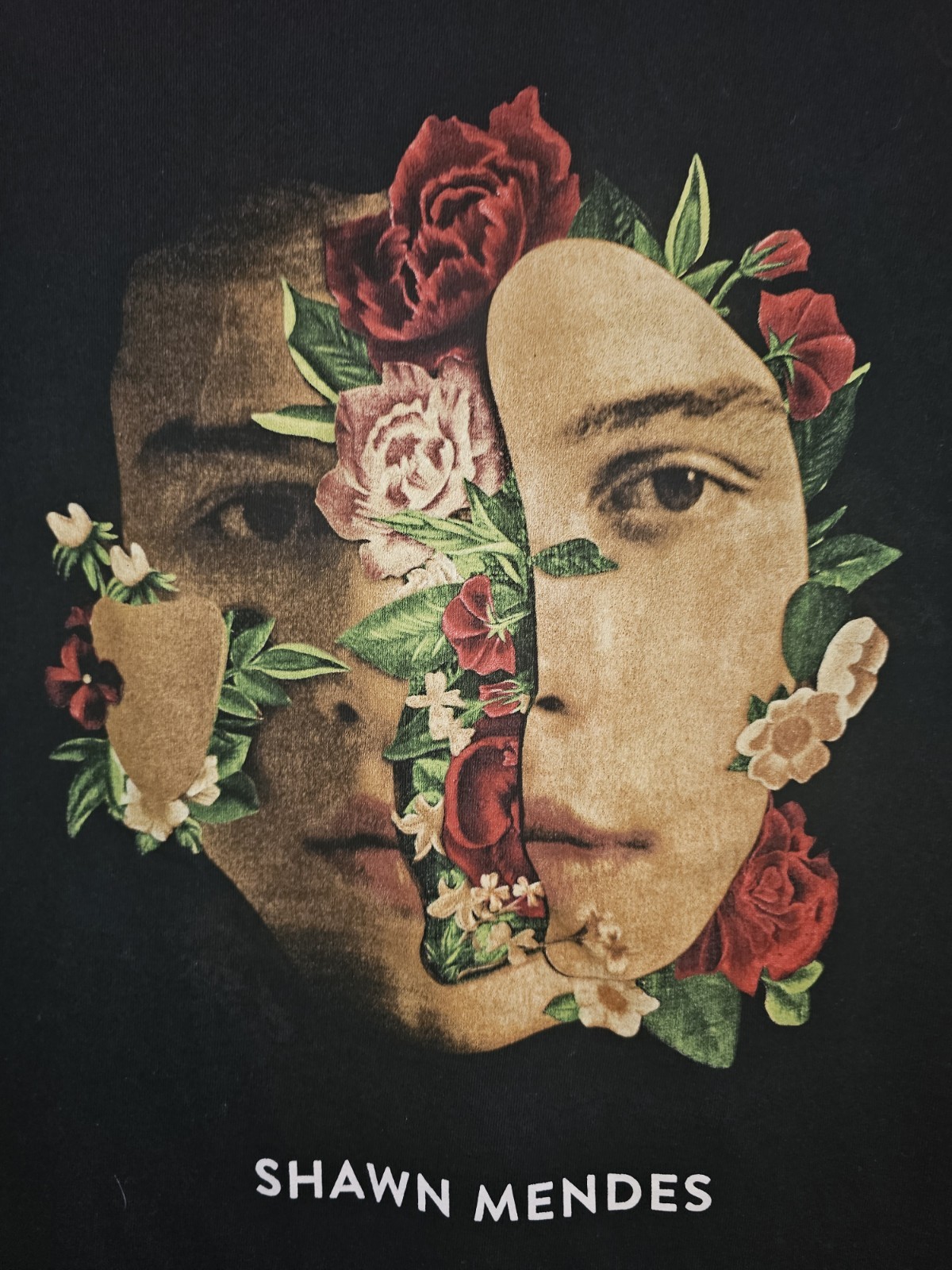 Shawn Mendes Self Titled LP Art Medium Mens Black Graphic Logo Short Sleeve Tee
