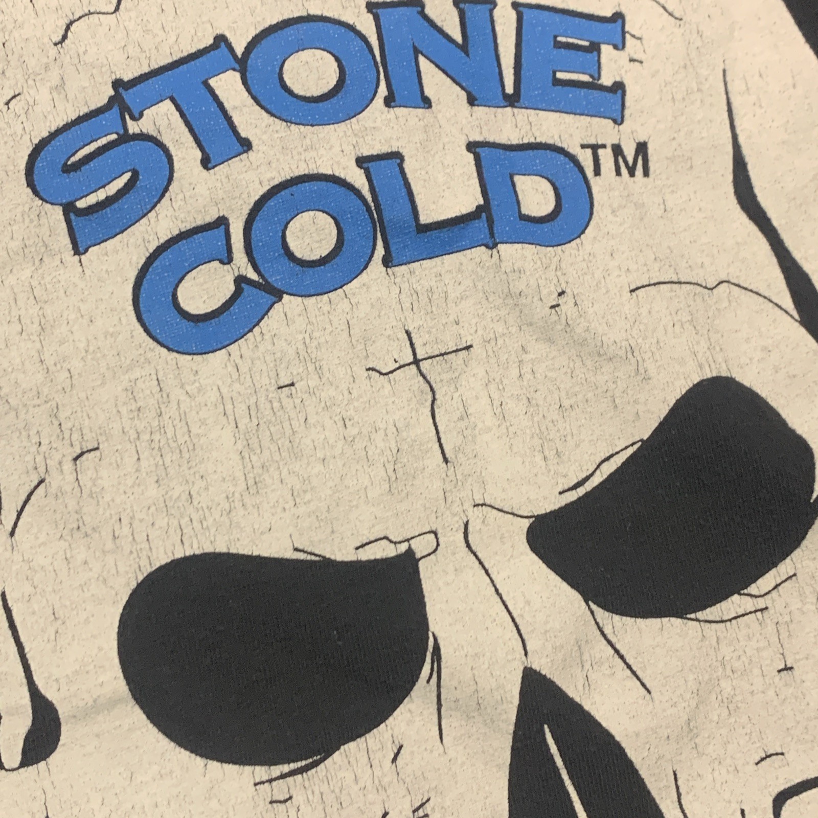 WWE Stone Cold Steve Austin Skull Austin 3:16 Graphic T-Shirt Black Medium