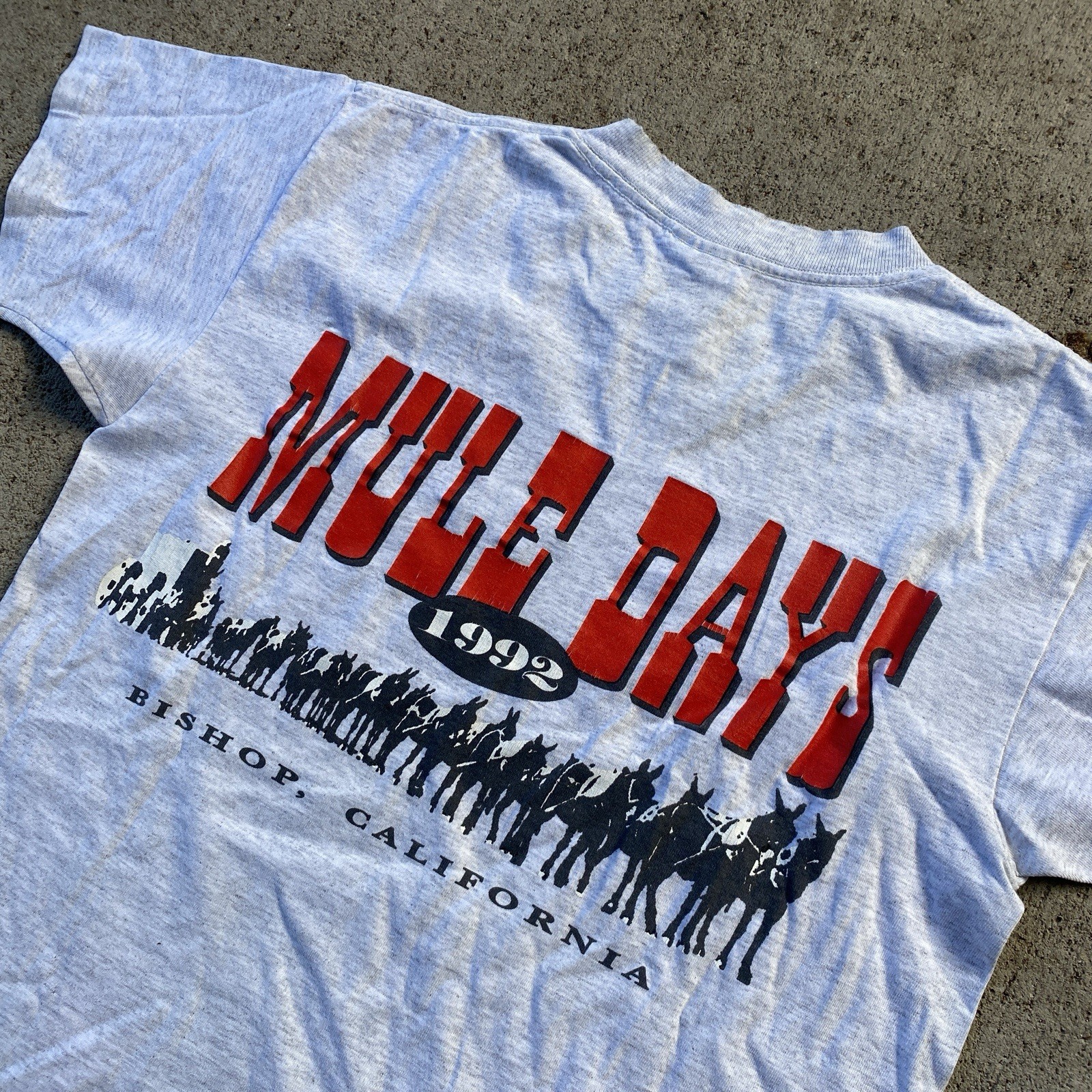 Vintage 90s MULE DAYS Tee Shirt Bishop Lone Pine Mt. Whitney Grey Medium