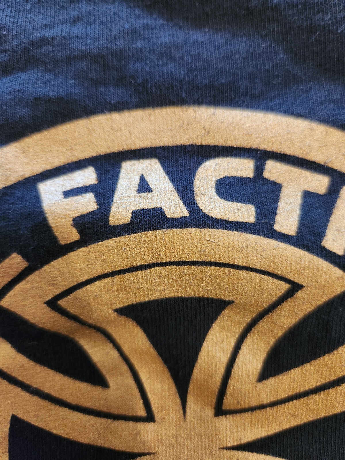 The Faction Independent Skateboard Shirt Last Show Ever Steve Caballero Size L