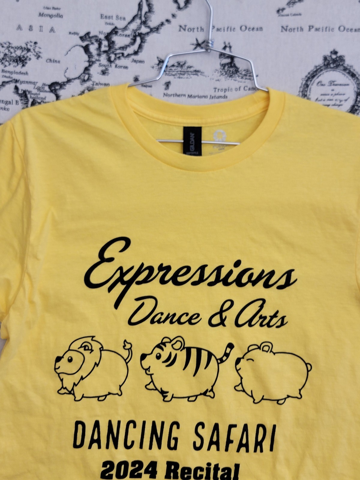 Gildan Custom Ink Expressions Dance Arts Dancing Safari 2024 Recital T-Shirt S