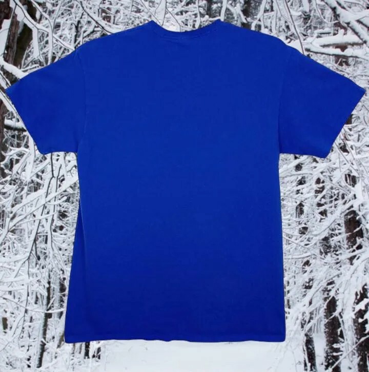 Men’s Graphic T-shirt Size Large “I’ve Been Good-ish All Year” Blue 100% Cotton